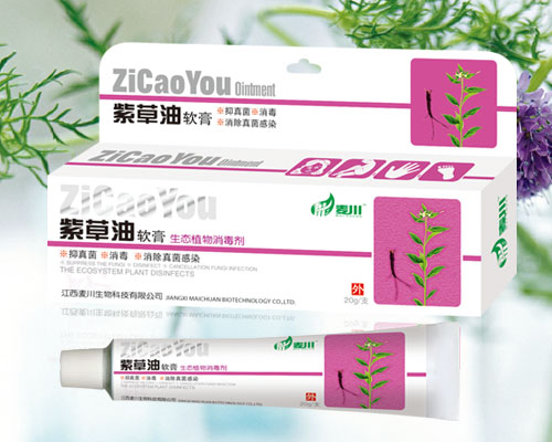 点击放大 紫草油软膏 紫草油软膏