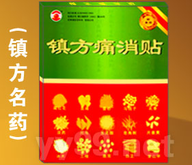 镇方痛消贴 