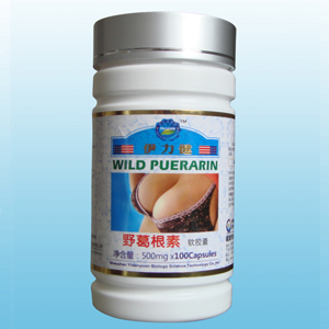 点击放大 野葛根素软胶囊