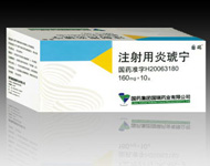 注射用炎琥宁160mg） 
