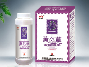 薰衣草洗液 