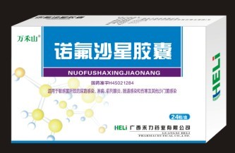 诺氟沙星胶囊 诺氟沙星胶囊