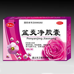  盆炎静胶囊