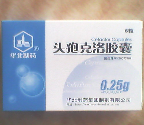 点击放大 头孢克洛胶囊