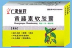 点击放大 黄藤素软胶囊 黄藤素软胶囊