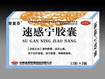 点击放大 速感宁胶囊