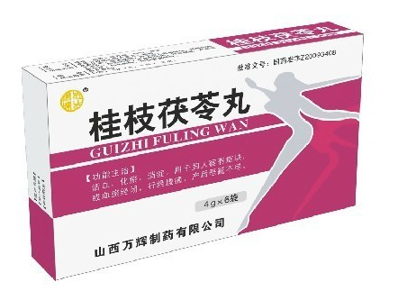 点击放大 桂枝茯苓丸(浓缩丸) 桂枝茯苓丸(浓缩丸)