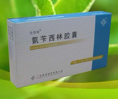 氨苄西林胶囊 