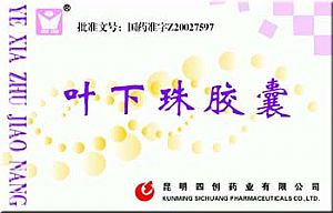 点击放大 叶下珠胶囊 叶下珠胶囊