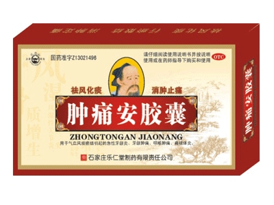 肿痛安胶囊 肿痛安胶囊