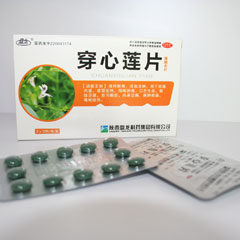 点击放大 穿心莲片