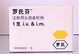 点击大放