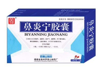 鼻炎宁胶囊 
