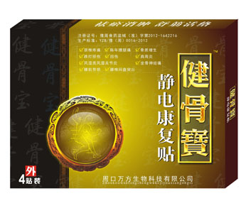 点击放大 健骨宝静电康复贴