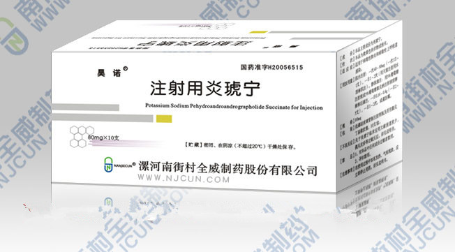 注射用炎琥宁 注射用炎琥宁