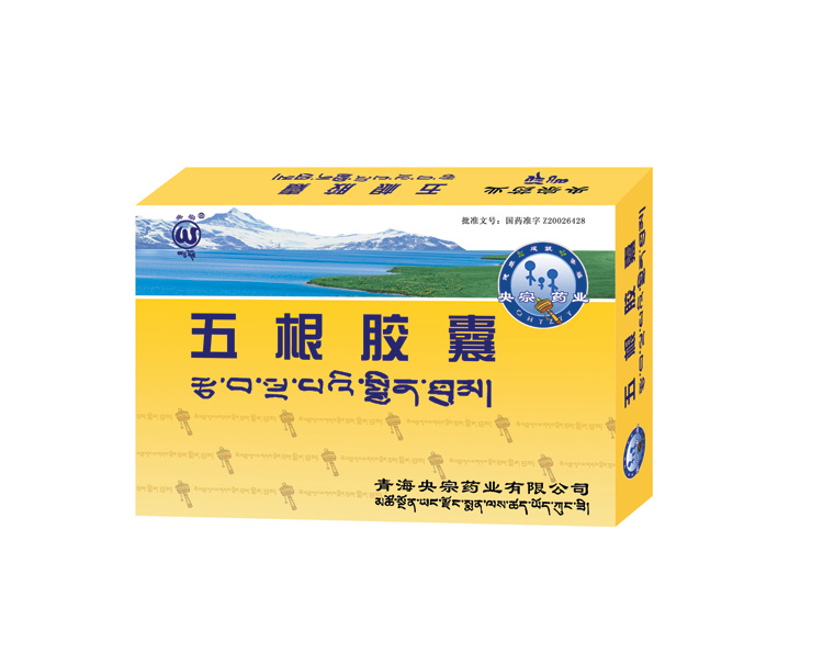 点击放大 五根胶囊(独家品种) 五根胶囊(独家品种)