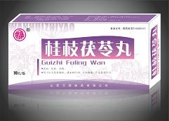 点击放大 桂枝茯苓丸 桂枝茯苓丸