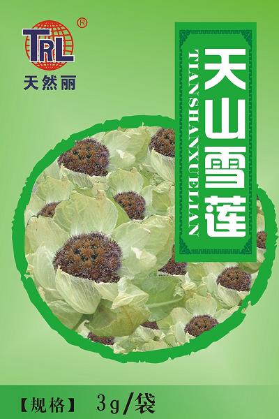 天山雪莲（新疆原产） 