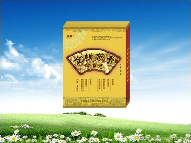 点击放大 金蝉筋骨消痛贴