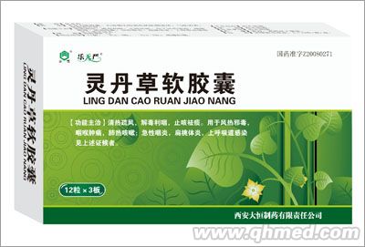 乐无严 灵丹草软胶囊