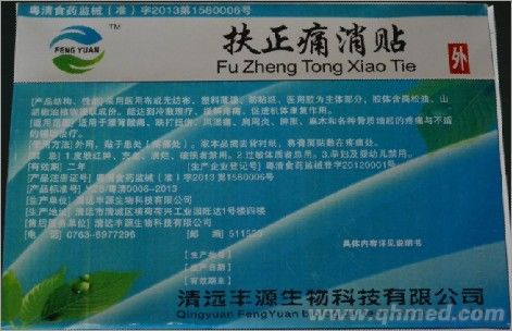扶正痛消贴 扶正痛消贴