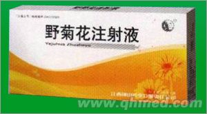 野菊花注射液 