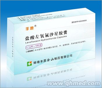 点击放大 盐酸左氧氟沙星胶囊