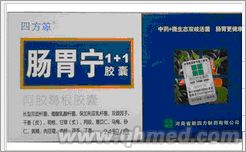 点击放大 圣诞促销肠胃宁1+1胶囊折扣回馈