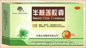 点击放大 半枝莲胶囊 独家中标 清热解毒 民族药