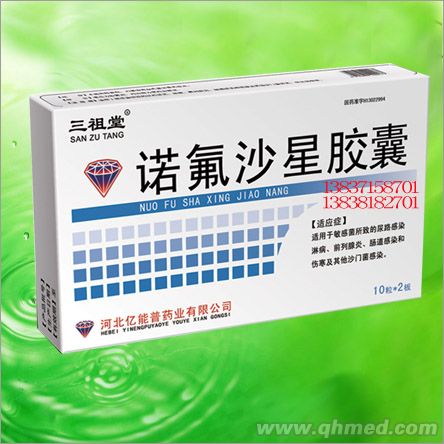 点击放大 诺氟沙星胶囊