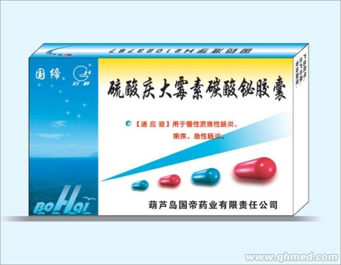 硫酸庆大霉素碳酸铋胶囊 