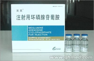 点击放大 注射用环磷腺苷葡胺 注射用环磷腺苷葡胺