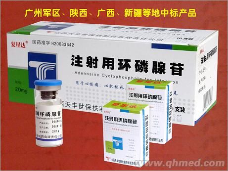 点击放大 注射用环磷腺苷 注射用环磷腺苷