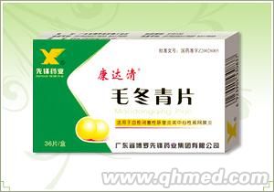 点击放大 毛冬青片