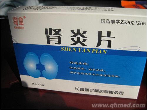 肾炎片 