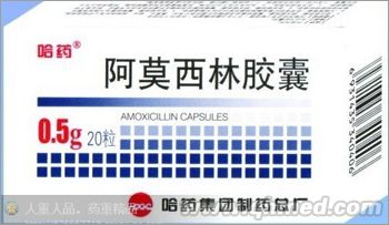 点击放大 阿莫西林胶囊