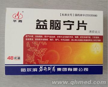 点击放大 益脑宁片