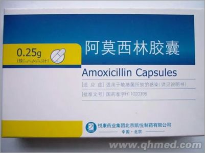 点击放大 阿莫西林胶囊