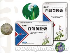 点击放大 白蒲黄胶囊