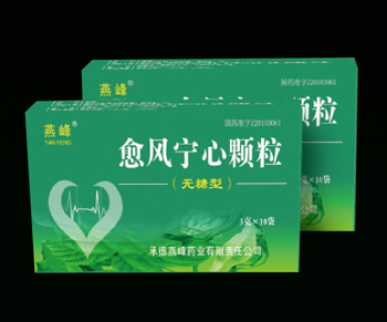 愈风宁心颗粒 