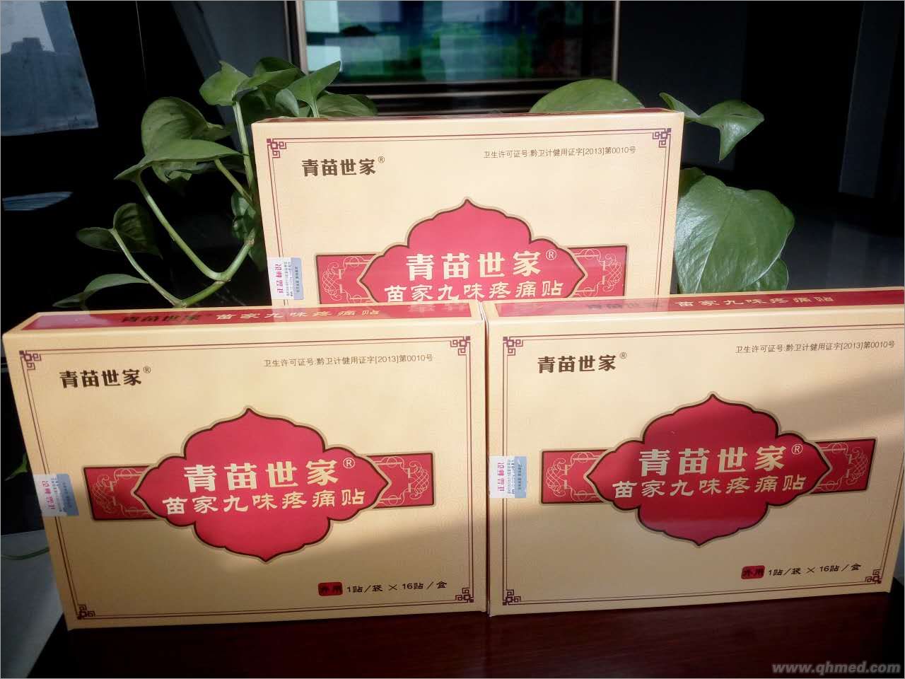 点击放大 青苗世家 青苗世家