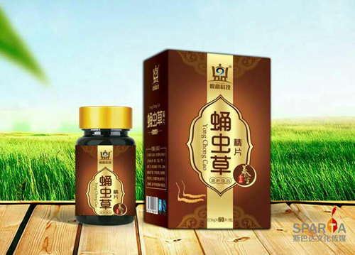 蛹虫草精片 