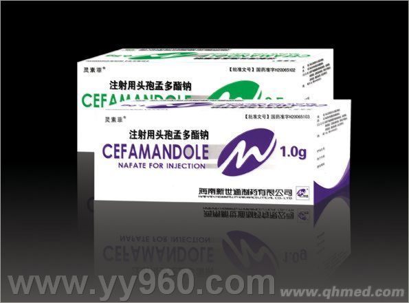  注射用头孢孟多酯钠