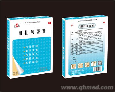 点击放大 附桂风湿膏