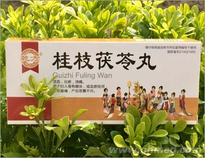 点击放大 桂枝茯苓丸
