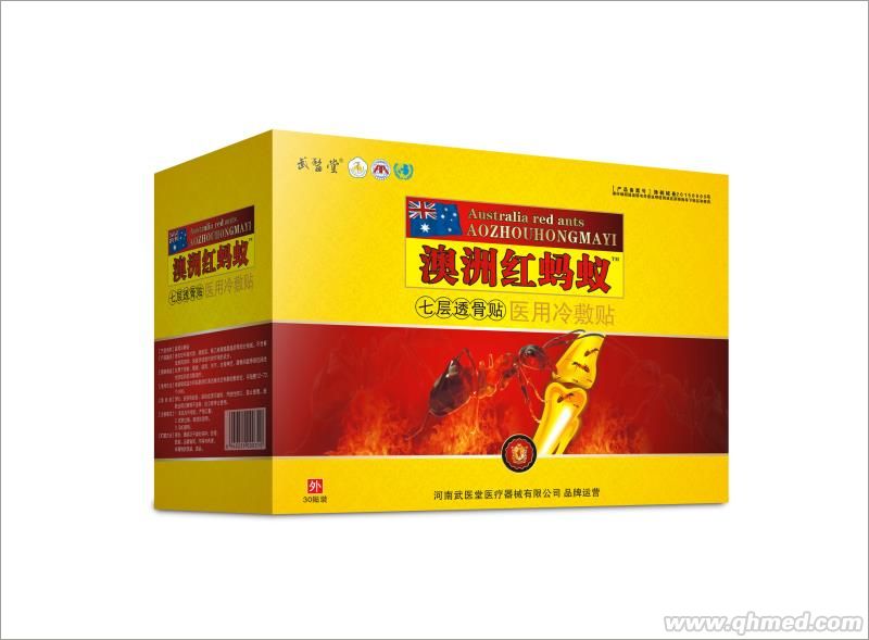 点击放大 澳洲红蚂蚁