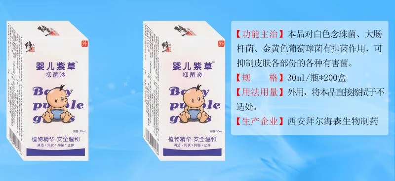 点击放大 婴儿紫草