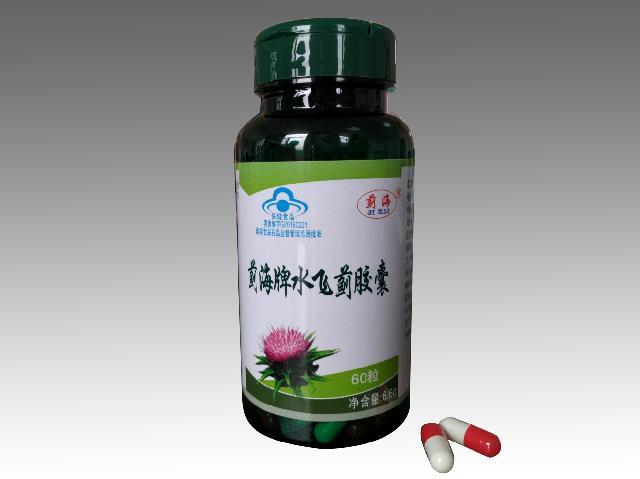 蓟海牌水飞蓟胶囊 蓟海牌水飞蓟胶囊