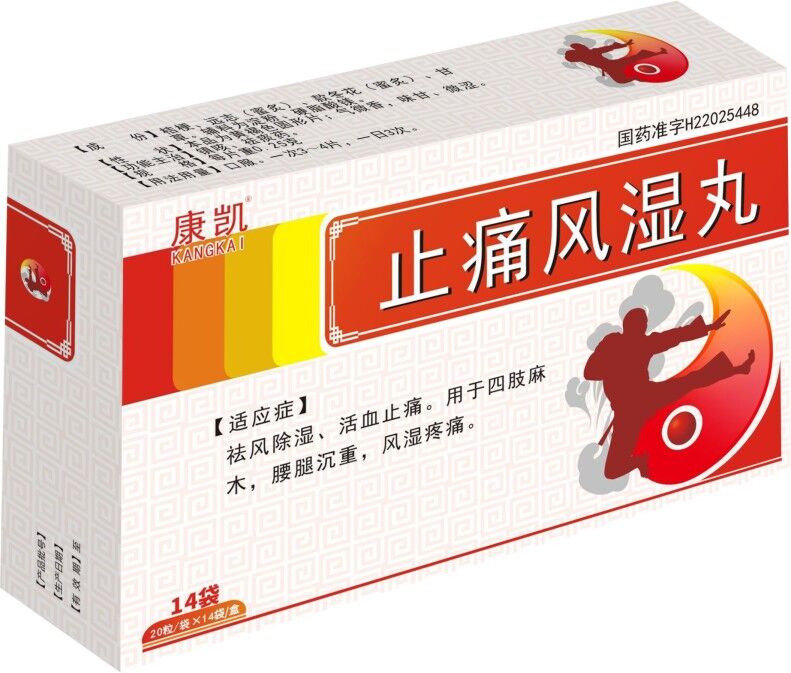 止痛风湿丸 