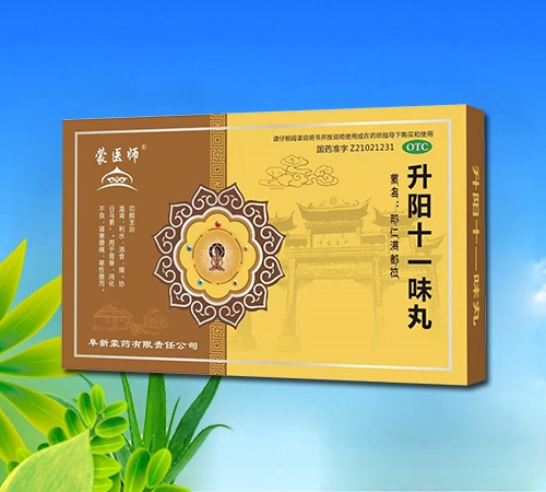 点击放大 嘎日迪五味丸 嘎日迪五味丸